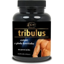 Tribulus fruit