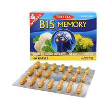 B15 Memory